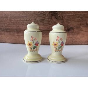 Vintage 1970s Retro Butterfly Print Salt and Pepper shakers